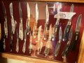 IMG_9829