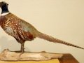 IMG_0191