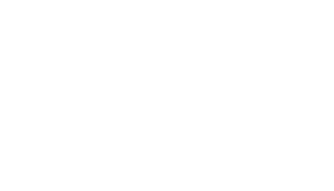 Auctions Unlimited