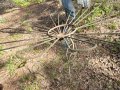 IMG_9114