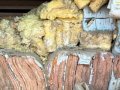 IMG_0631